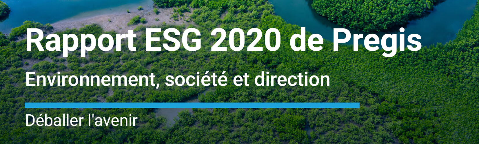 Rapport ESG Pregis 2020